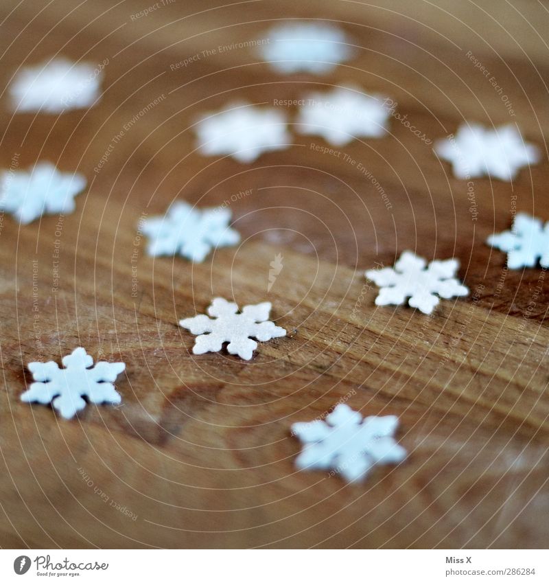 erster Schnee Winter Eis Frost kalt Schneeflocke Schneekristall Holz Dekoration & Verzierung Weihnachtsdekoration Farbfoto Nahaufnahme Muster Menschenleer