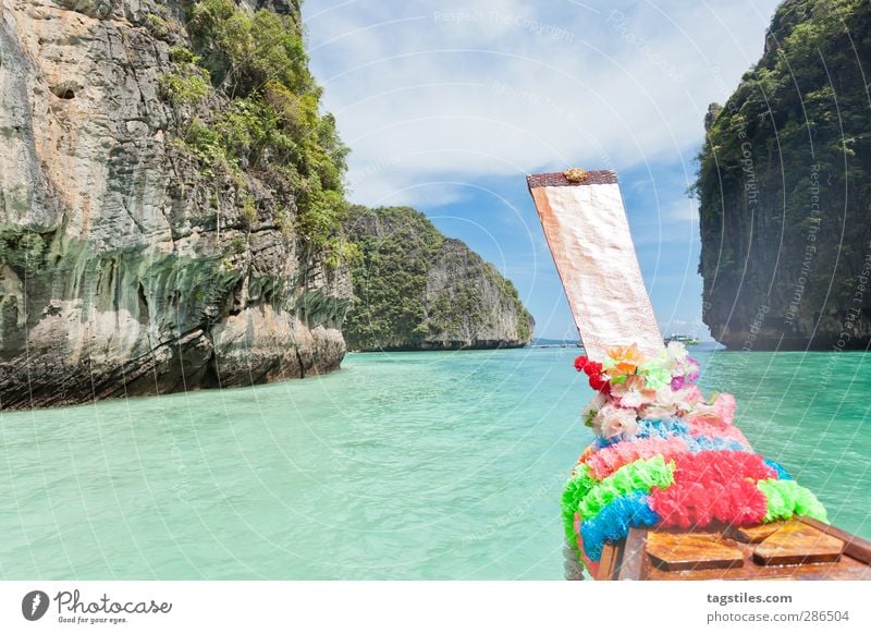 In See stechen - Thailand Krabi Ko Phi Phi Le Phi Phi island Langboot Wasserfahrzeug Andamanensee Ferien & Urlaub & Reisen Reisefotografie Idylle Blume Freiheit