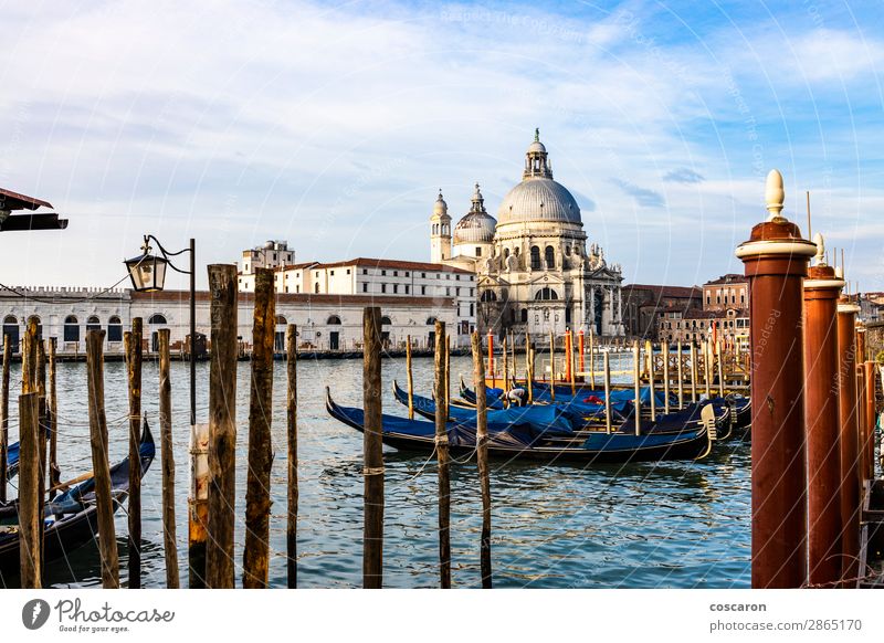 Leere Gondeln, die auf einer Lagune von Venedig, Italien, schwimmen. Lifestyle Ferien & Urlaub & Reisen Tourismus Ausflug Sommer Meer Winter Karneval Landschaft