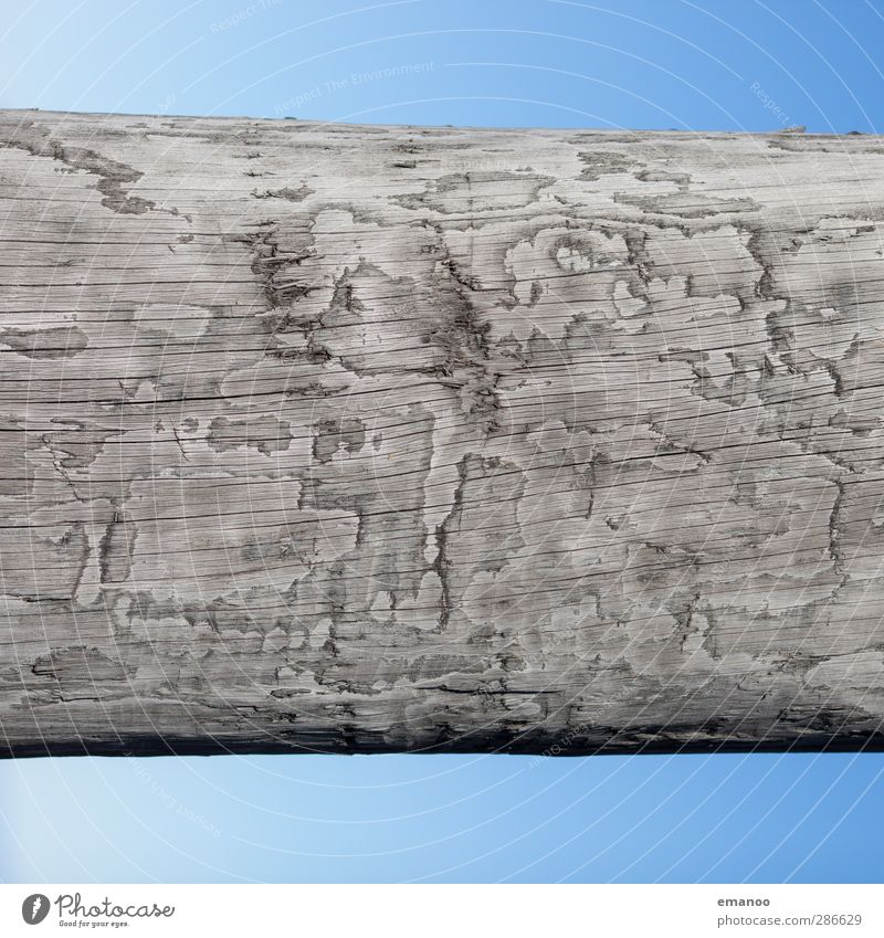 Holz im Himmel Pflanze Baum natürlich rund blau Linie Strukturen & Formen Landkarte Holzpfahl Holzstruktur Holzbrett Baumstamm Pfosten grau Hintergrundbild