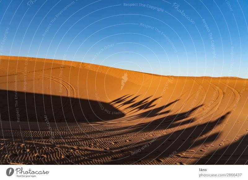 Karawane lll Marokko Wüste Dromedar Kamel Schatten Sand
