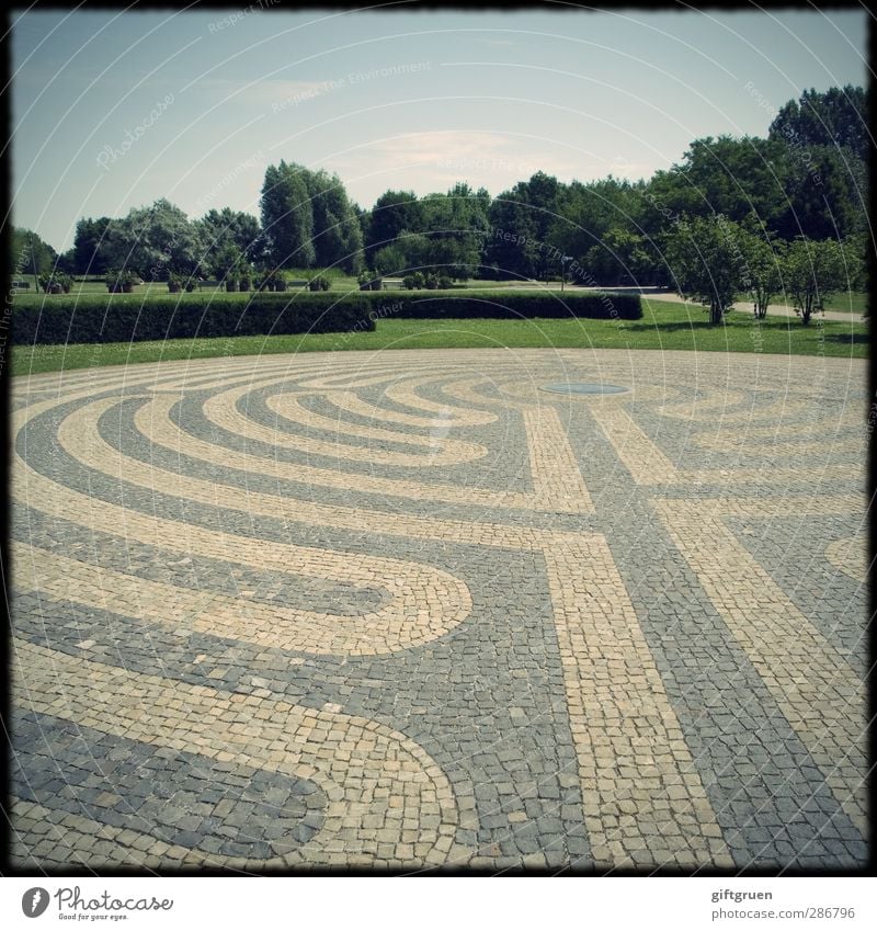 labyrinth Park Wiese außergewöhnlich grün Platzangst Labyrinth Strukturen & Formen Hecke Pflanze Baum Pflastersteine Bodenbelag gepflegt Kopfsteinpflaster Kreis