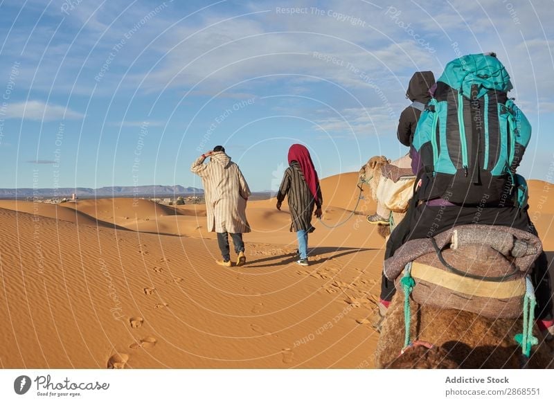 Kamele und Menschen, die in der Wüste unterwegs sind. Marrakesch Marokko Sand Landen gehen Natur Ferien & Urlaub & Reisen Afrika Tourismus heiß Karavane