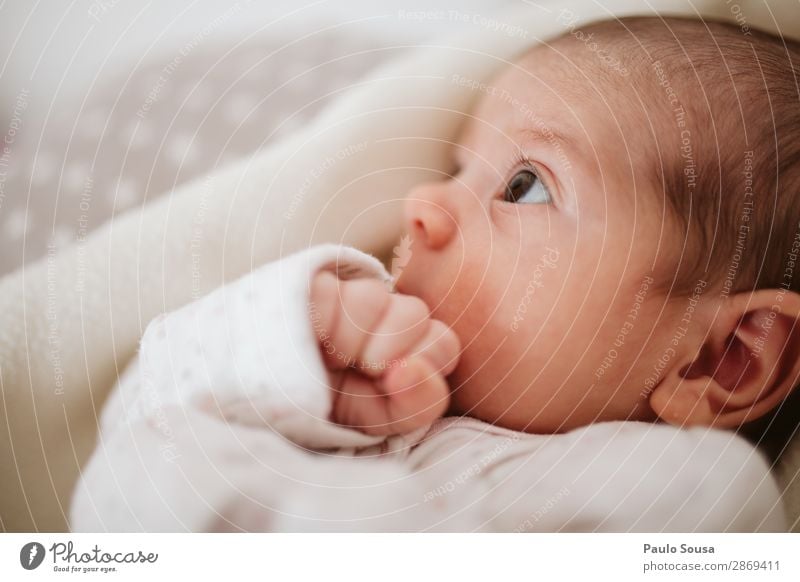 Baby beobachtet Mutter Lifestyle Mensch Kind 1 0-12 Monate beobachten entdecken liegen Blick Zusammensein natürlich Neugier niedlich Wärme Gefühle Sicherheit
