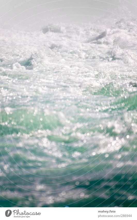 Strudel Wassersport Rafting Natur Urelemente Schlucht Fluss Wasserfall ästhetisch frisch Unendlichkeit kalt nass Geschwindigkeit wild Wut grün türkis weiß Macht