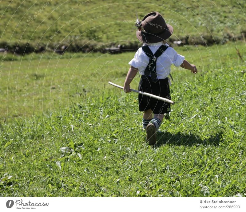 ... in die weite Welt hinein! Glück Ausflug Freiheit Berge u. Gebirge wandern Mensch maskulin Kind Kleinkind Junge Kindheit Leben 1 3-8 Jahre Gras Wiese Feld