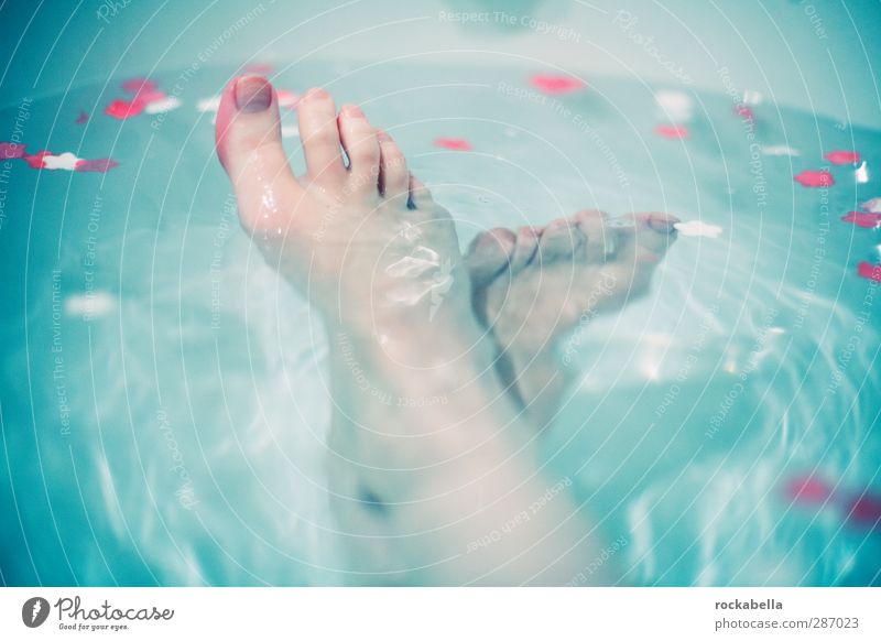 Füße im Wasser Frau Erwachsene Fuß Schwimmen & Baden Zufriedenheit Bewegung Erholung schön feminin Wellness Fußbad Badewanne blau Farbfoto Innenaufnahme