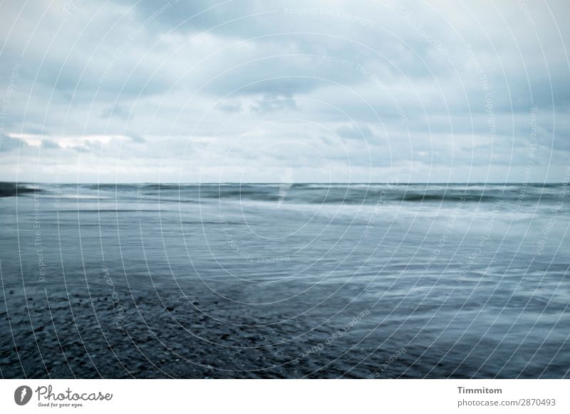 Sanfte Nordsee Ferien & Urlaub & Reisen Umwelt Natur Landschaft Urelemente Wasser Himmel Wolken Frühling Wetter Küste Strand Dänemark blau Gefühle Freude