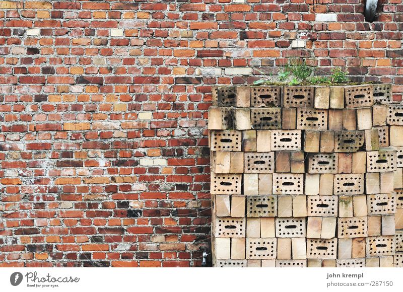 Niemand hat die Absicht, eine Mauer zu errichten Stadt Haus Bauwerk Architektur Wand Fassade Backsteinwand ziegelrot Stein alt bauen authentisch historisch