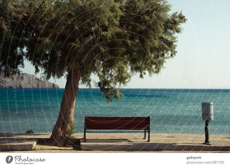 entspann dich Natur Landschaft Wasser Himmel Wolkenloser Himmel Horizont Sonnenlicht Sommer Schönes Wetter Baum Küste Meer Insel Kreta Freundlichkeit frisch