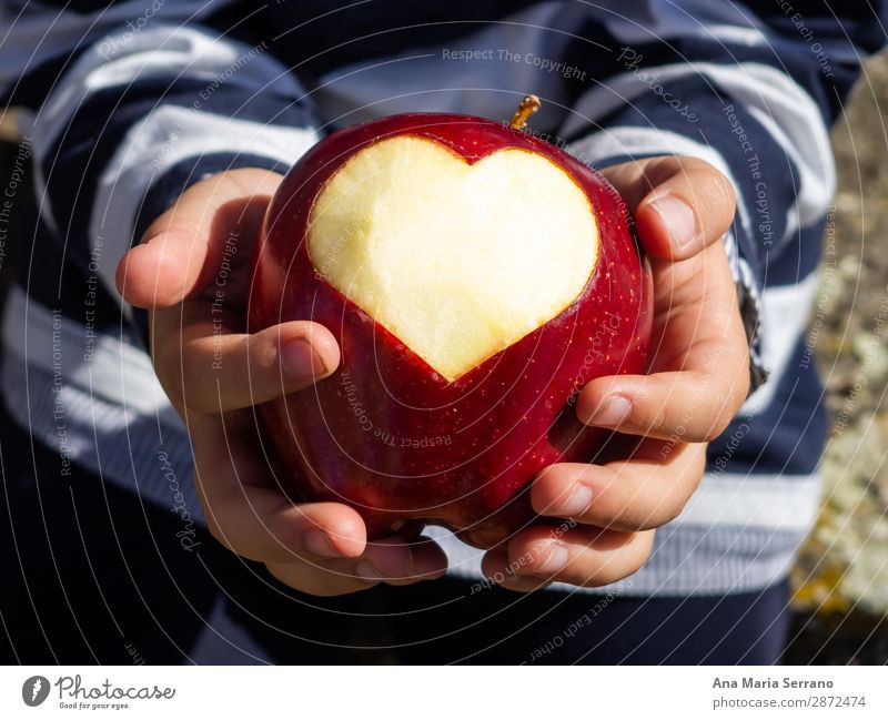 Ein Kind mit einem roten Apfel in der Hand. Frucht Ernährung Bioprodukte Diät Lifestyle Gesundheitswesen Gesunde Ernährung Übergewicht Wellness Herz Fitness