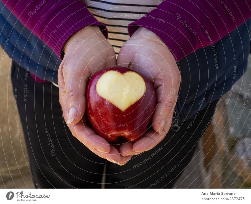 Eine Person mit einem roten Apfel in der Hand. Frucht Ernährung Bioprodukte Diät Lifestyle Gesundheitswesen Gesunde Ernährung Übergewicht Wellness Mensch Herz