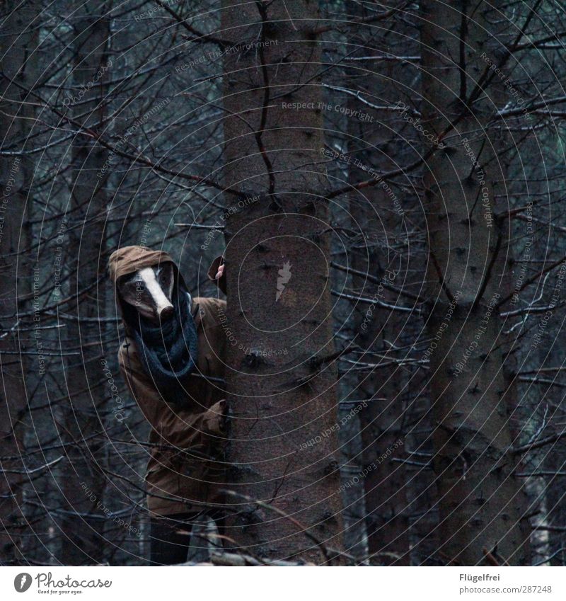 Auf der Flucht feminin Frau Erwachsene 1 Mensch 18-30 Jahre Jugendliche stehen Dachs Maske Wald Tanne verstecken Schal grün getarnt Blick Tiermaske Jagd dunkel
