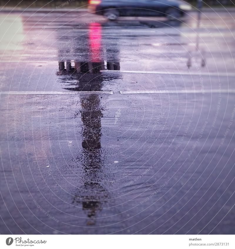 andersrum Hauptstadt Stadtzentrum Menschenleer Platz Sehenswürdigkeit Verkehr Autofahren Straße PKW dunkel nass grau violett rosa Siegessäule Regen Asphalt