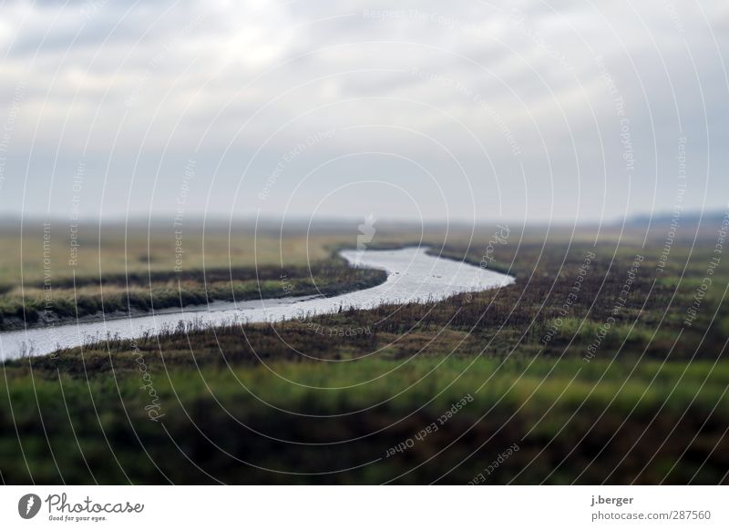 Marschland Ferien & Urlaub & Reisen Ferne Freiheit Meer Natur Landschaft Pflanze Wasser Himmel Wolken Horizont Herbst schlechtes Wetter Nebel Küste Nordsee