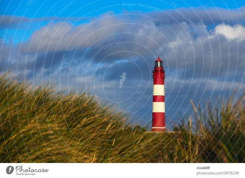 Leuchtturm in Wittdün auf der Insel Amrum Erholung Ferien & Urlaub & Reisen Tourismus Natur Landschaft Wolken Herbst Küste Nordsee Architektur Sehenswürdigkeit