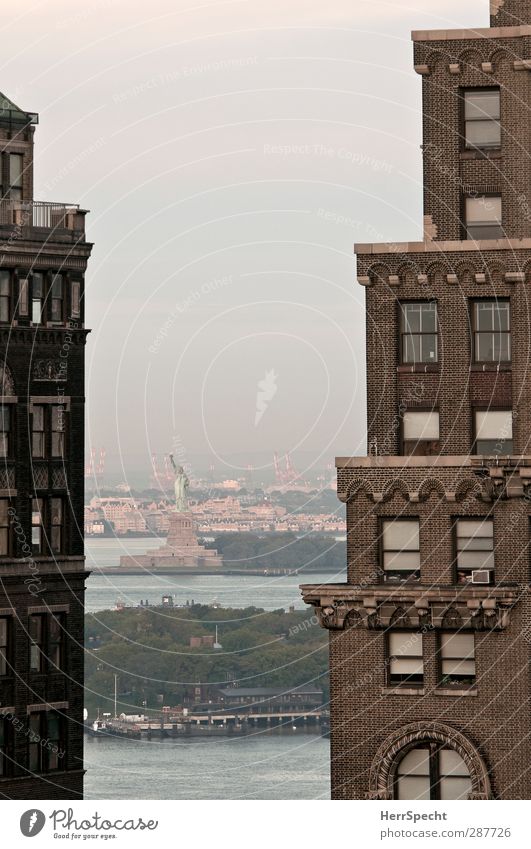 Durchblick New York City Hochhaus Gebäude Fassade Sehenswürdigkeit Wahrzeichen Freiheitsstatue Bekanntheit Stadt braun grau Aussicht Ferne Liberty Island
