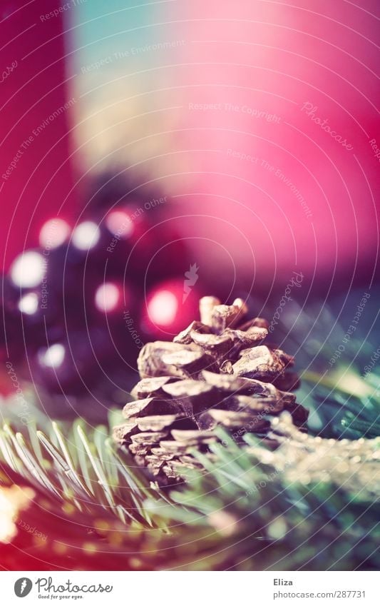 Zapfenstreich Tannenzweig Nostalgie Weihnachten & Advent gemütlich Wärme Beeren rot Adventskranz altehrwürdig Retro-Farben Dekoration & Verzierung