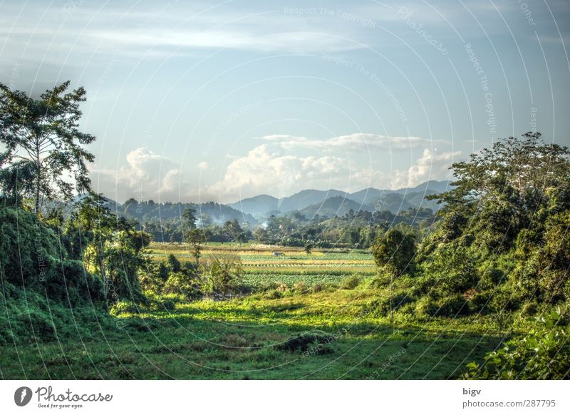 Landscape Umwelt Natur Landschaft Pflanze Himmel Wolken Sommer Schönes Wetter Wärme Baum Gras Urwald Hügel Thailand HDR Chiang Rai Farbfoto Außenaufnahme