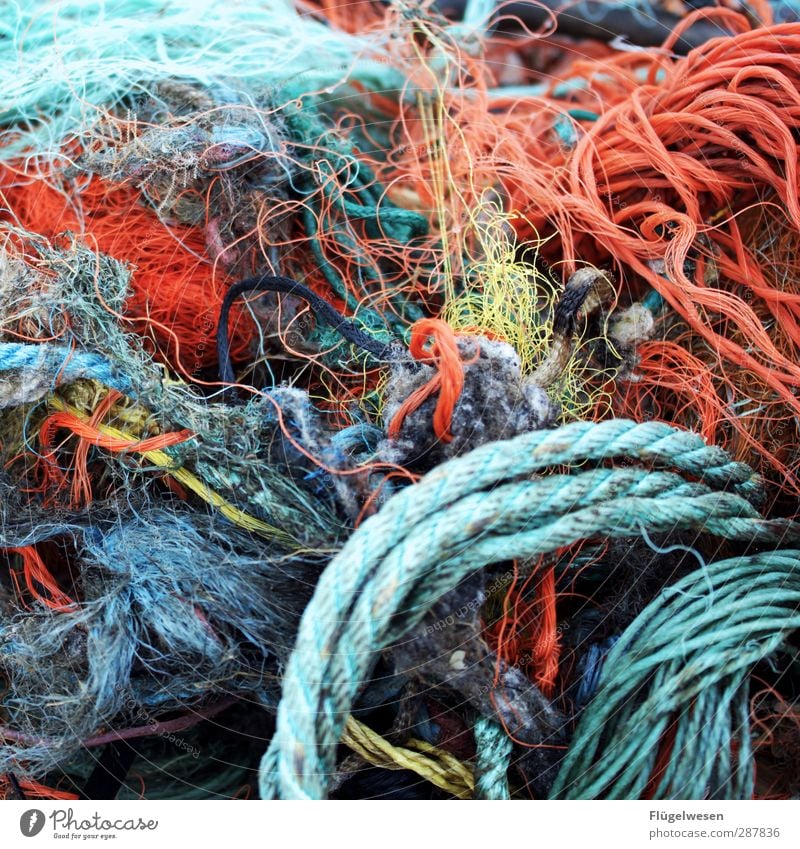 Netze flicken Lebensmittel Fisch Meeresfrüchte Ernährung Essen fangen Jagd krabbeln Erfolg Kraft Appetit & Hunger bedrohlich Angeln Fischereiwirtschaft