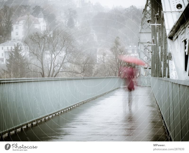 rainy days Mensch feminin Frau Erwachsene Rücken Beine 1 18-30 Jahre Jugendliche Wind Nebel Regen Brücke Bauwerk Regenschirm laufen rennen trist grau rot