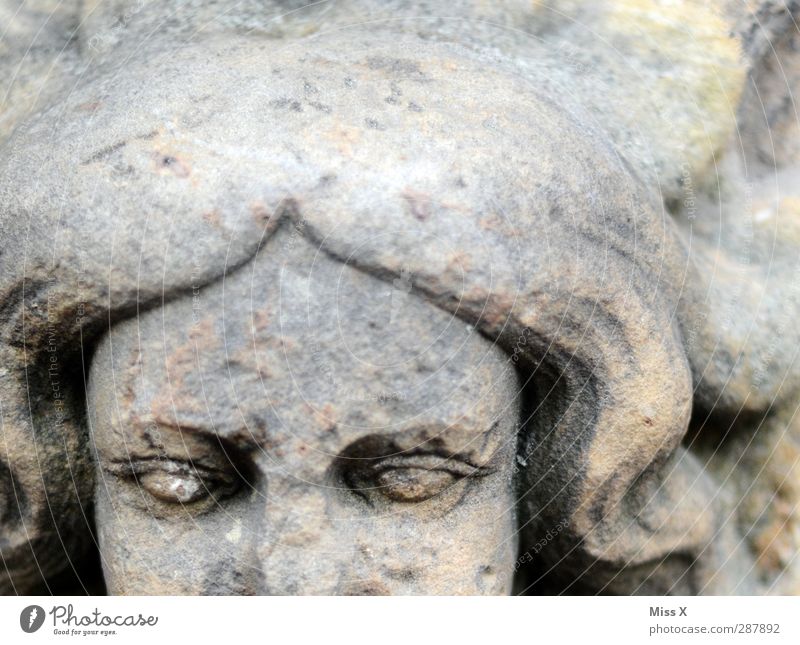 Steinmaid Mensch Kopf Gesicht 1 Kunst Skulptur alt historisch grau Verfall Vergänglichkeit Figur Statue Auge Schwarzweißfoto Gedeckte Farben Nahaufnahme
