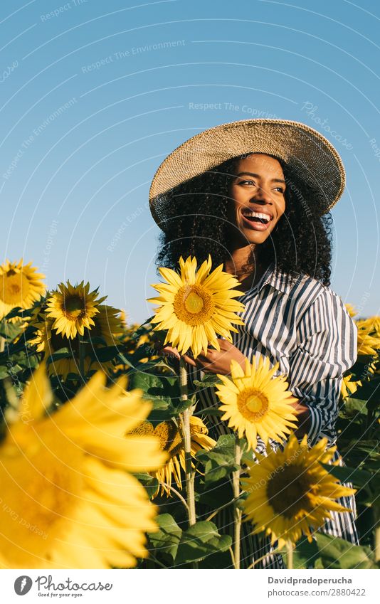 Glückliche junge schwarze Frau auf einem Sonnenblumenfeld Feld urwüchsig lockig Afrikanisch gemischtrassig niedlich Jugendliche Lächeln Hintergrundbild Hut
