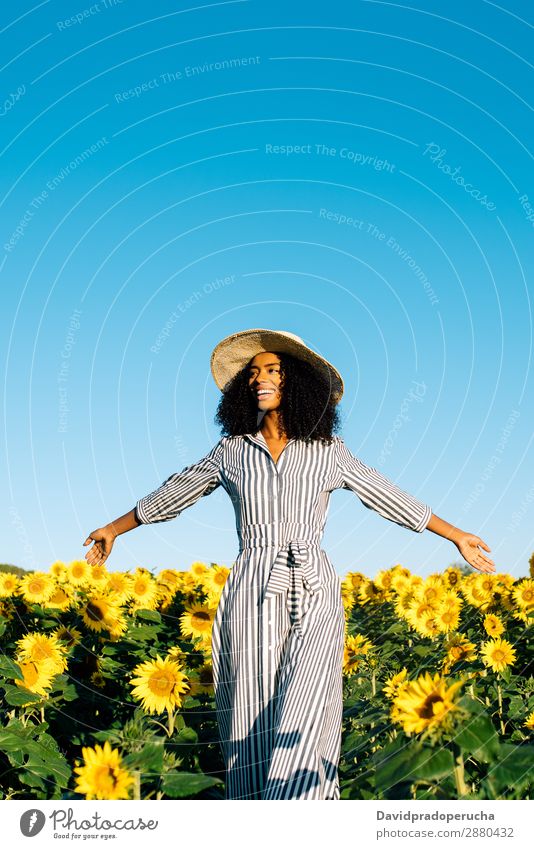Glückliche junge schwarze Frau, die in einem Sonnenblumenfeld spazieren geht. Feld urwüchsig lockig Afrikanisch gemischtrassig niedlich Jugendliche Lächeln