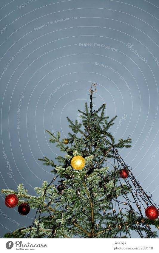 Apfelbaum Feste & Feiern Weihnachten & Advent Weihnachtsbaum Christbaumkugel Dekoration & Verzierung Himmel Gewitterwolken Winter Baum Zeichen leuchten dunkel