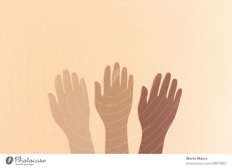Hände verschiedener Hautfarben Hand Kommunizieren Zusammensein Mut Sicherheit Schutz Geborgenheit Menschlichkeit Solidarität Hilfsbereitschaft Verantwortung