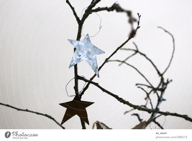 Sternengrafik Dekoration & Verzierung Weihnachten & Advent Holz Metall Zeichen glänzend hängen ästhetisch eckig grau schwarz silber weiß Vorfreude Design