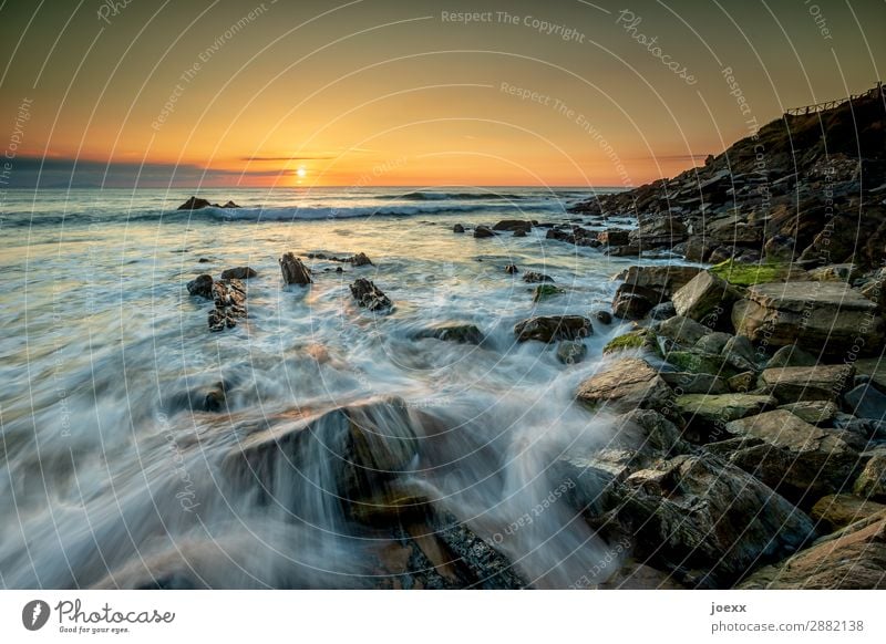 Langzeitbelichtung von wasserumströmten Felsen im Meer mit Sonnenuntergang Starke Tiefenschärfe Abend Sonnenaufgang Sonnenlicht Kontrast Menschenleer Gegenlicht