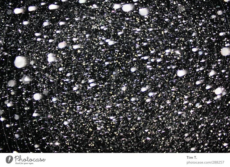 Schneefall in der Nacht Natur Nachthimmel Winter Wetter Schwarzweißfoto Außenaufnahme Menschenleer Kunstlicht Blitzlichtaufnahme Kontrast