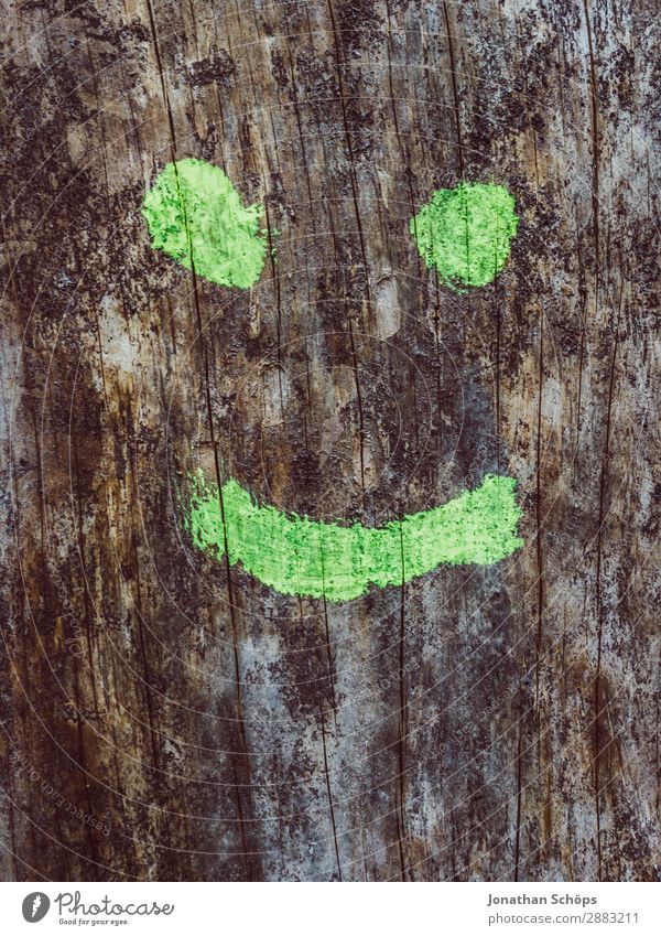 Smile Kunst gut trendy Lächeln lachen Gefühle gemalt Graffiti Baum Holz Strukturen & Formen einfach grün Smiley grinsen positiv Symbole & Metaphern Farbfoto