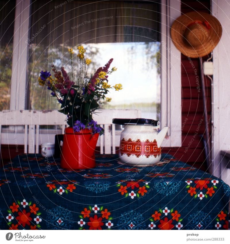 Stillleben mit Blumen, Tee und Hut schön Farbe Frieden Idee Leben ruhig Blumenstrauß Teekanne Tisch Gartenhaus Veranda Autofenster Tischwäsche Muster Idylle