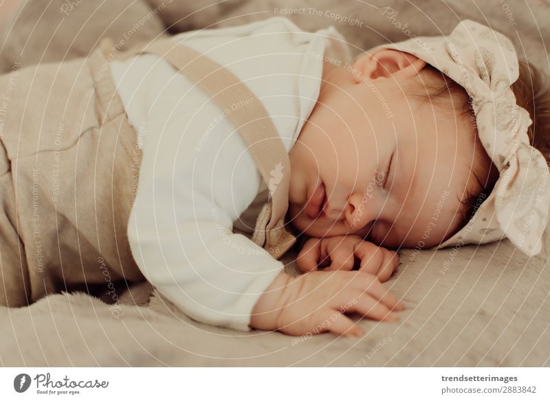 Porträt eines schlafenden Neugeborenen schön Gesicht Leben Kind Baby Kindheit träumen klein natürlich neu niedlich weich weiß unschuldig neugeboren Decke