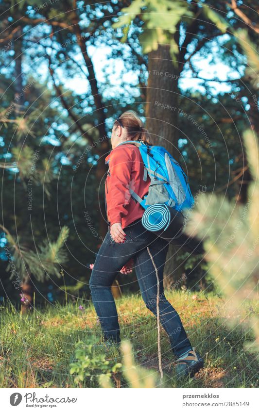 Wanderin mit Rucksack im Wald während der Sommerreise Lifestyle schön Erholung Freizeit & Hobby Ferien & Urlaub & Reisen Abenteuer Freiheit wandern Mensch Frau
