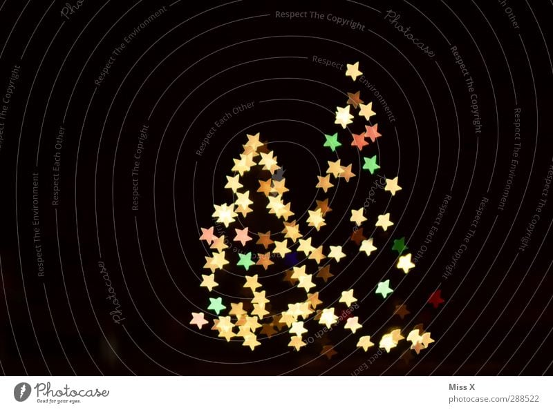 Zählt mal die Sterne Weihnachten & Advent Nachthimmel Winter Baum leuchten glänzend viele mehrfarbig Weihnachtsbeleuchtung Weihnachtsbaum Lichterkette