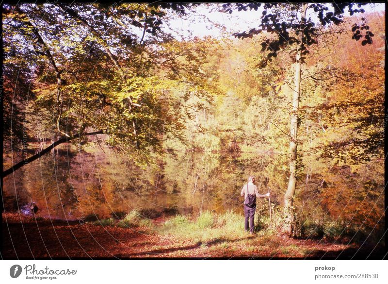 Herbstbild mit Wanderer Mensch maskulin Junger Mann Jugendliche Erwachsene Leben Umwelt Natur Landschaft Pflanze Wasser Himmel Sonne Baum Blatt Wald Küste