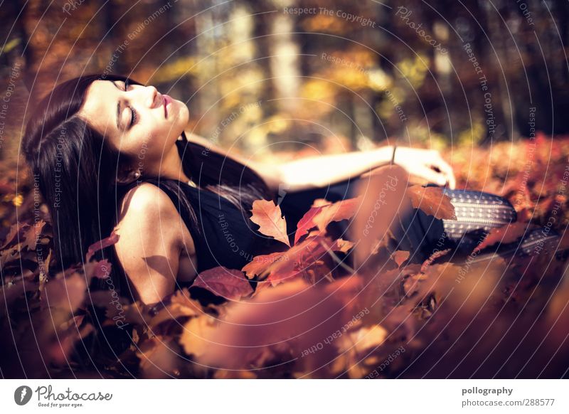 Es herbstet sehr (7) Mensch feminin Junge Frau Jugendliche Erwachsene Leben 1 18-30 Jahre Natur Landschaft Pflanze Erde Herbst Schönes Wetter Sträucher Blatt