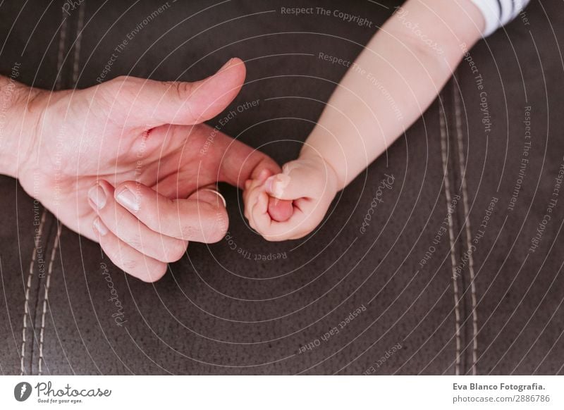 Nahaufnahme eines Babys, das den Finger des Vaters hält. Familienkonzept Lifestyle Kindererziehung Mann Erwachsene Eltern Familie & Verwandtschaft Kindheit Hand