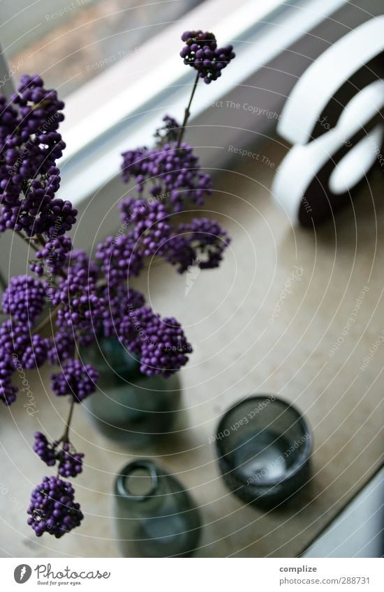 Deko Lifestyle Stil Design Häusliches Leben Wohnung Innenarchitektur Dekoration & Verzierung Raum violett Haus Vase Buchstaben Fensterbrett wohnlich verschönern