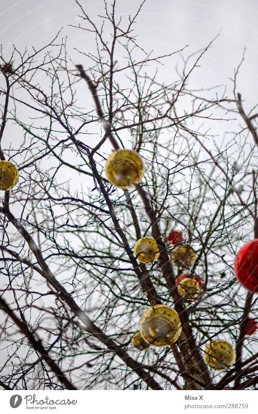 Weihnachtsbaum Weihnachten & Advent Winter Baum Sträucher hängen gold rot verschönern Dekoration & Verzierung Weihnachtsdekoration Baumschmuck Glaskugel