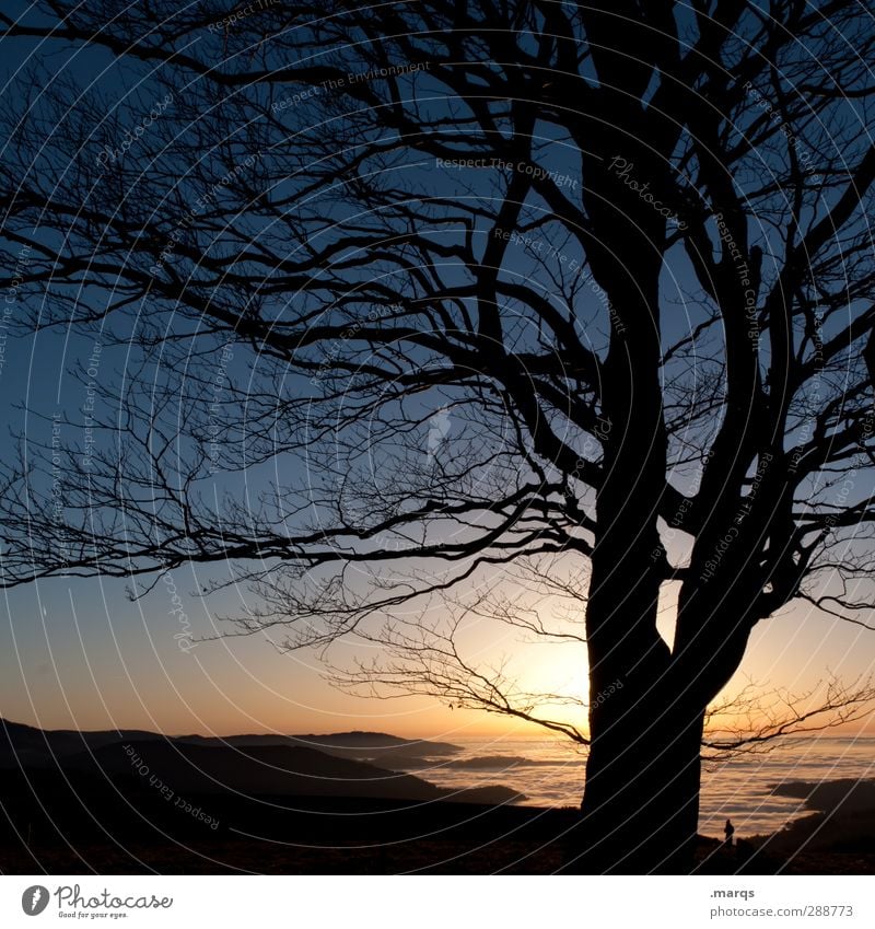 Kitschy Ferien & Urlaub & Reisen Ausflug Ferne Freiheit Umwelt Natur Landschaft Urelemente Horizont Sonnenaufgang Sonnenuntergang Herbst Klima Schönes Wetter