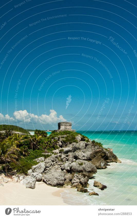 Tulum, Yucatán, Mexico Ferien & Urlaub & Reisen Tourismus Ausflug Ferne Sightseeing Expedition Sommer Sommerurlaub Strand Meer Karibisches Meer Flitterwochen