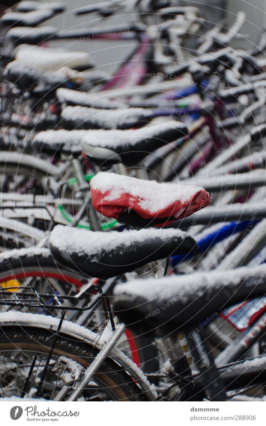Fahrrad auf Eis Fahrradfahren Winter Klima Frost Schnee Stadtzentrum Parkhaus fallen frieren stehen warten ästhetisch einfach sportlich stark rot schwarz weiß