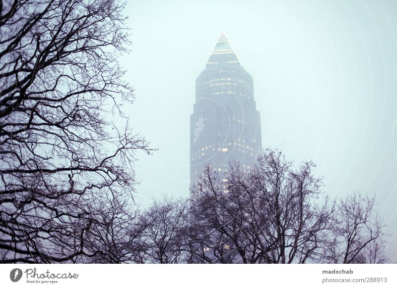 Wildwuchs Wirtschaft Business Wolkenloser Himmel Klima Klimawandel schlechtes Wetter Nebel Baum Frankfurt am Main Stadt Hochhaus Messeturm Perspektive Reichtum