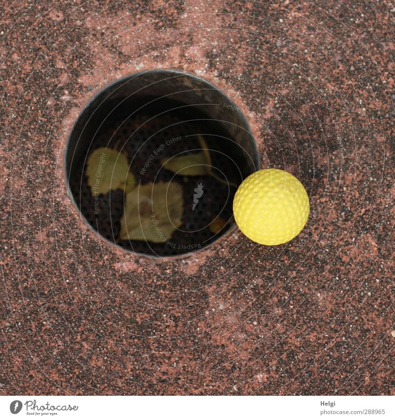 verflixt und zugenäht | ...hätte auch drin sein können... Freizeit & Hobby Spielen Minigolf Loch Ball Herbst Blatt Beton Kunststoff liegen ästhetisch
