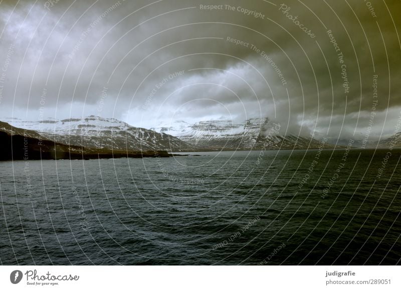 Island Umwelt Natur Landschaft Urelemente Wasser Himmel Wolken Klima schlechtes Wetter Schnee Felsen Berge u. Gebirge Schneebedeckte Gipfel Wellen Küste Fjord
