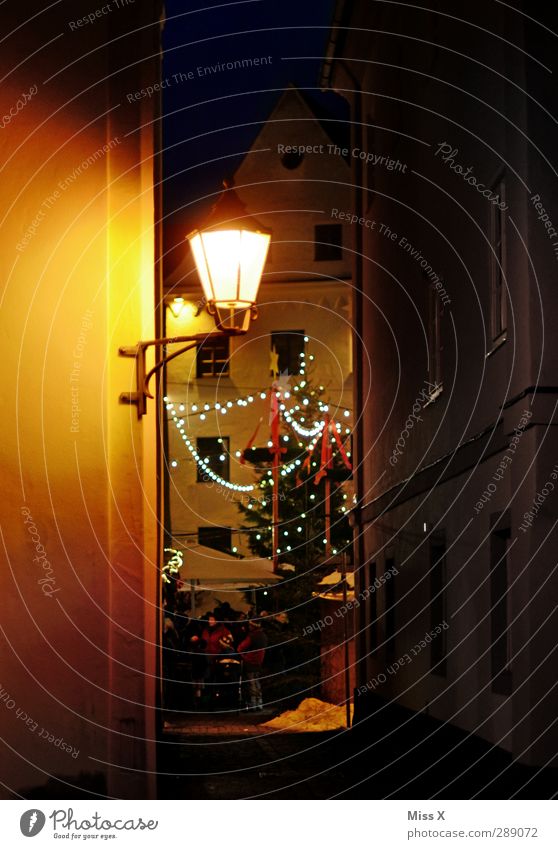 Weihnachtsmarkt Nachtleben ausgehen Feste & Feiern Weihnachten & Advent Menschenmenge Winter Baum Stadtzentrum Altstadt leuchten Stimmung Lichterkette